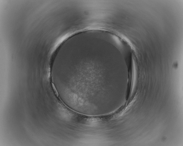 X0000091061461200708131119