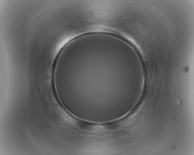 X0000091061463200708131119