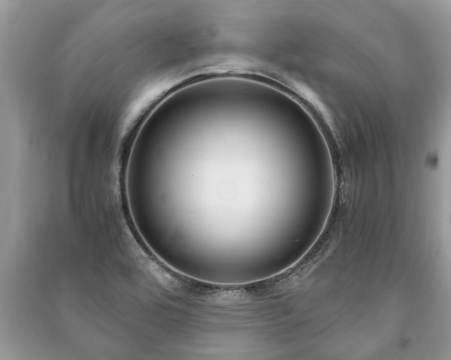 X0000091061464200708131119