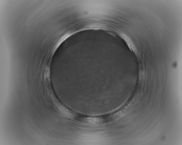 X0000091061465200708131119