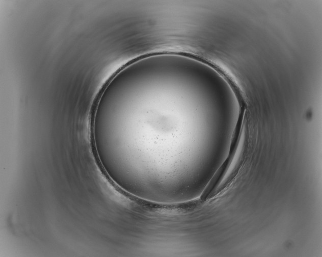 X0000091061468200708131119