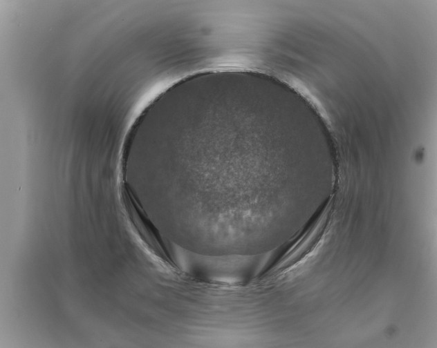 X0000091061469200708131119
