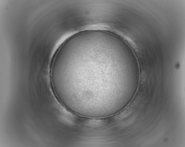 X0000091061470200708131119