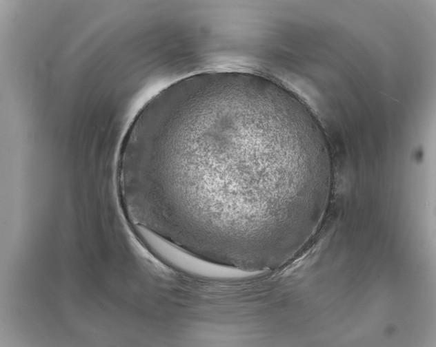 X0000091061471200708131119