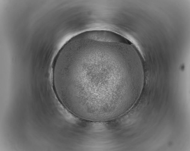 X0000091061472200708131119