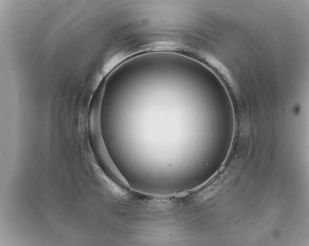 X0000091061473200708131119