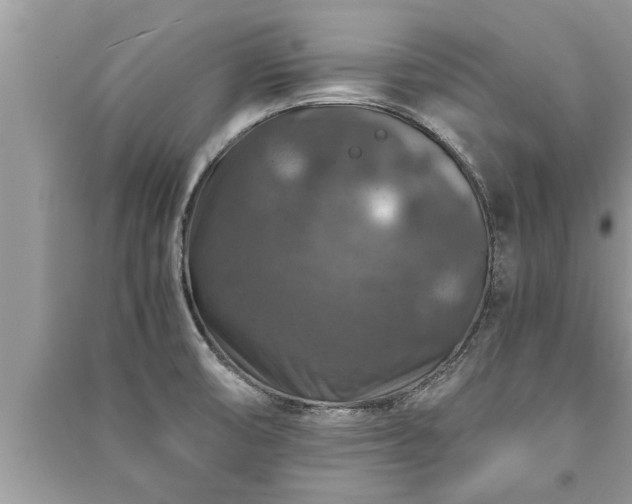 X0000091061474200708131119