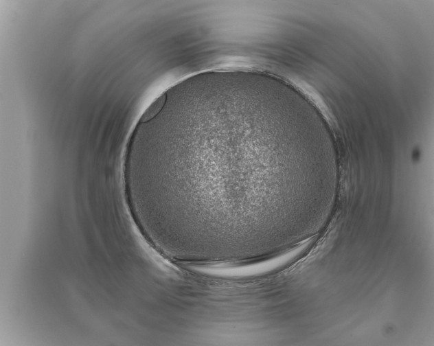 X0000091061475200708131119
