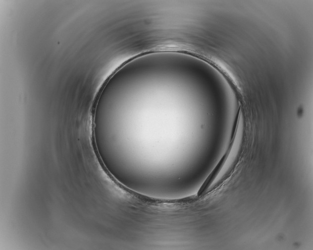 X0000091061476200708131119