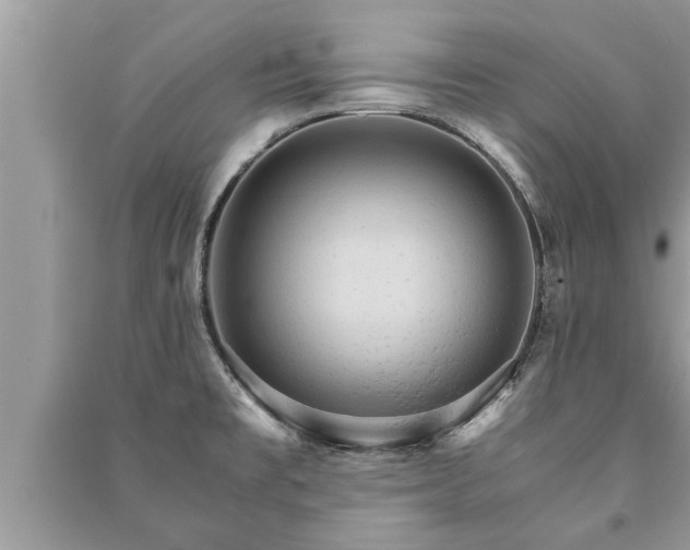 X0000091061477200708131119