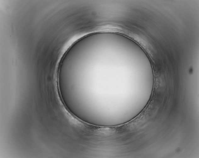 X0000091061478200708131119