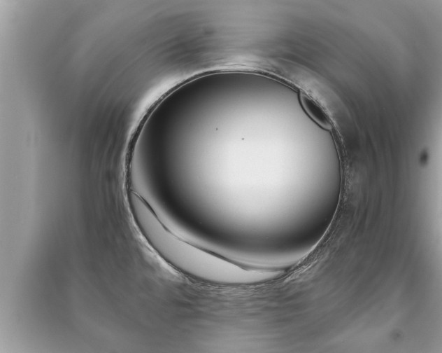 X0000091061480200708131119