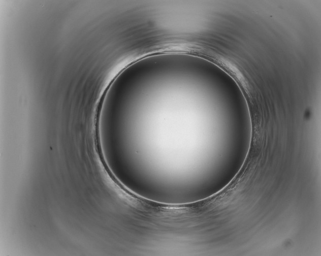 X0000091061483200708131119