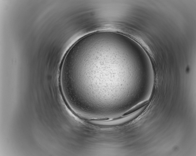 X0000091061484200708131119