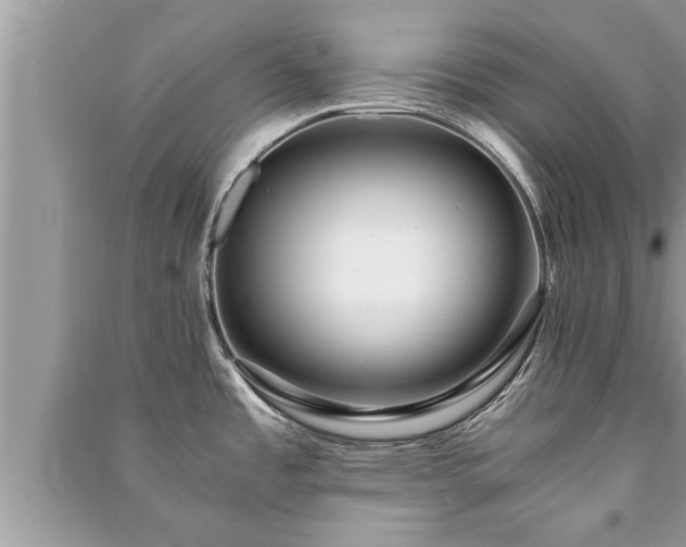 X0000091061485200708131119
