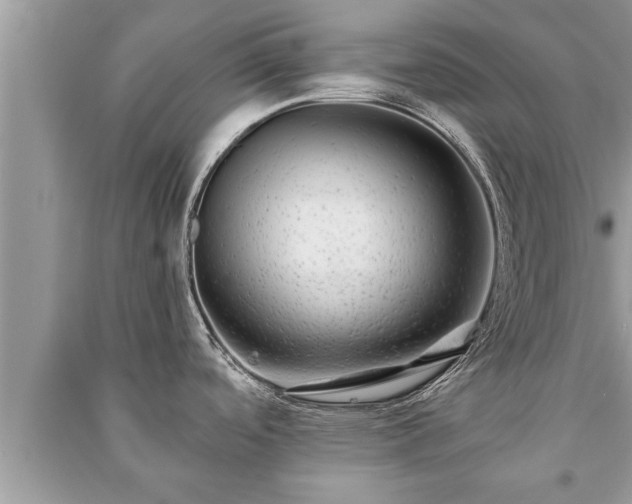 X0000091061488200708131119