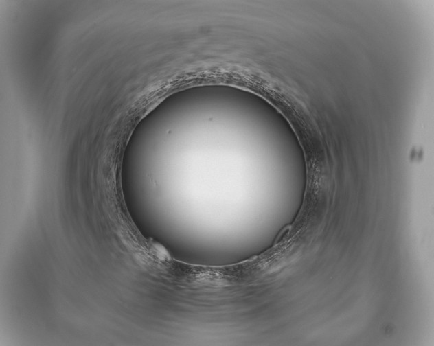 X0000091061489200708131118