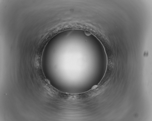 X0000091061490200708131118