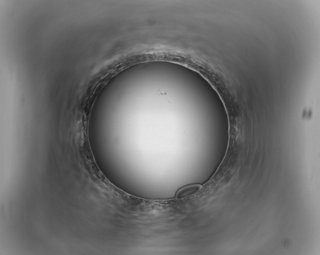 X0000091061493200708131118
