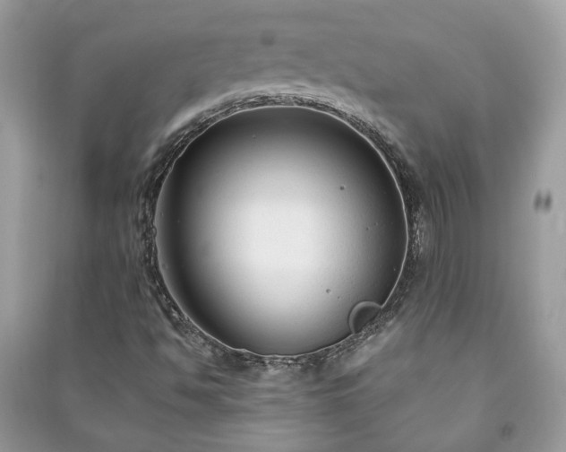 X0000091061494200708131118