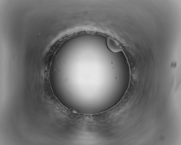 X0000091061495200708131118