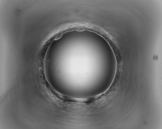 X0000091061496200708131118