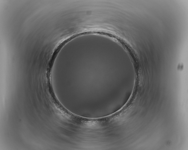 X0000091061497200708131118