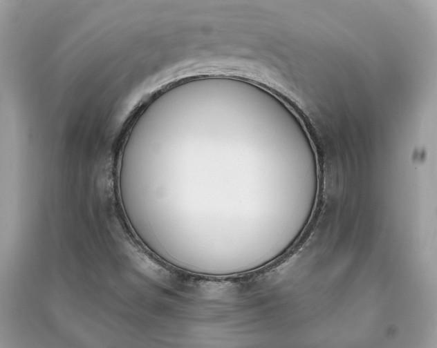 X0000091061498200708131118