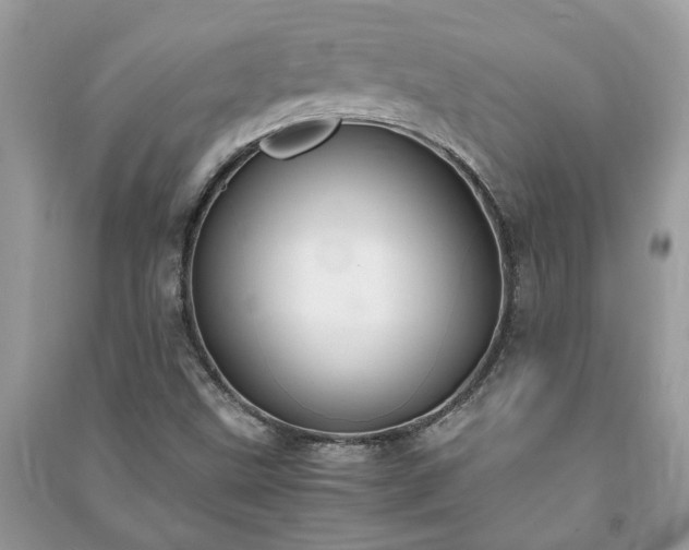 X0000091061499200708131118