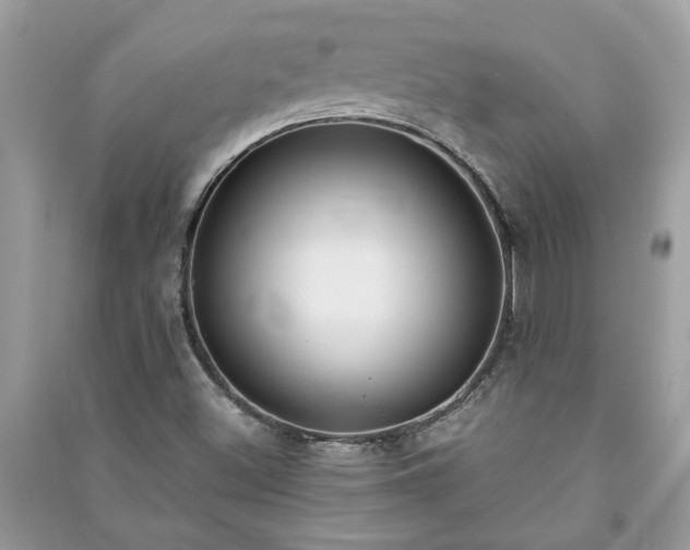 X0000091061500200708131118