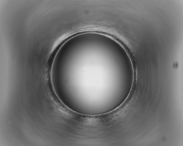 X0000091061501200708131118