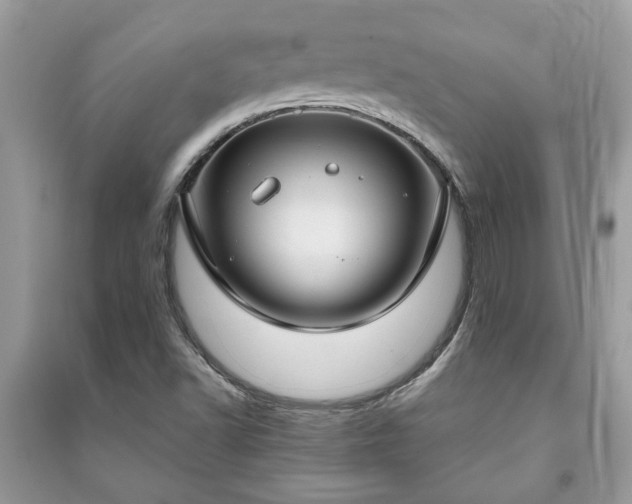 X0000091061502200708131118