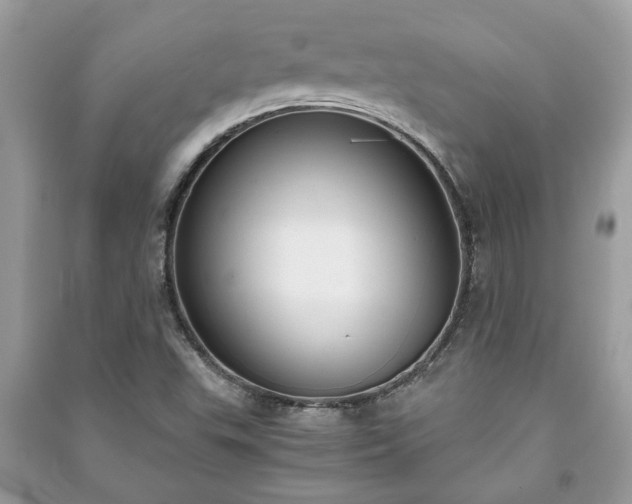 X0000091061503200708131118
