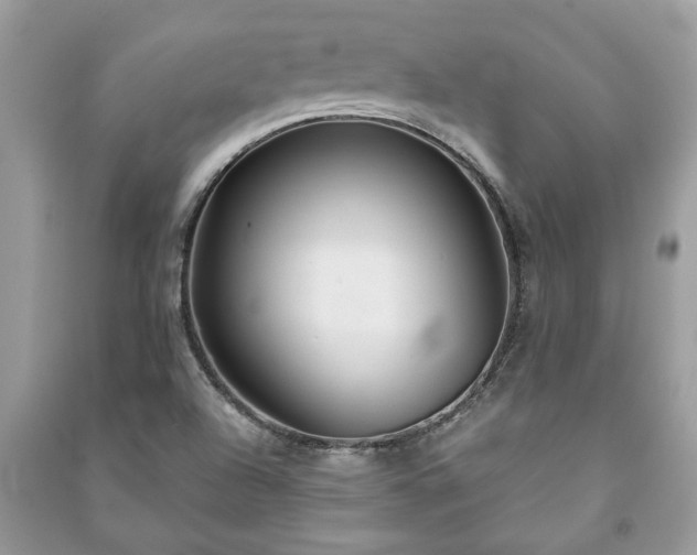 X0000091061504200708131118