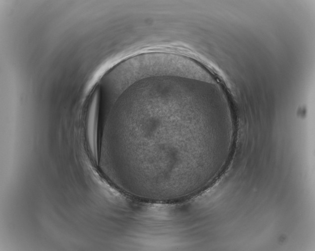 X0000091061506200708131118