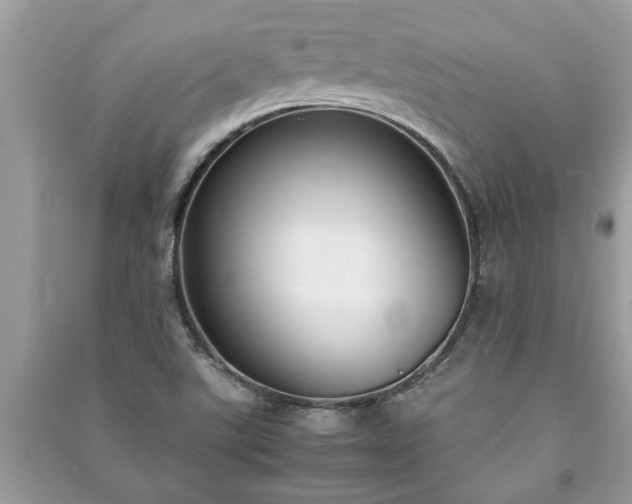 X0000091061507200708131118