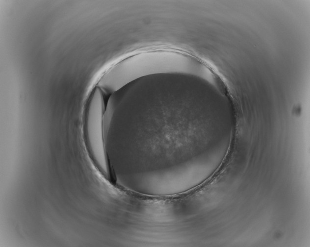 X0000091061508200708131118