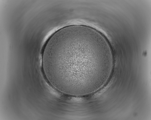 X0000091061509200708131118