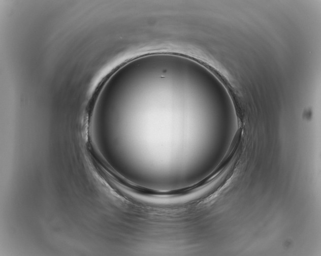 X0000091061510200708131118