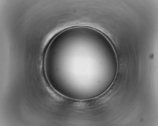 X0000091061511200708131118