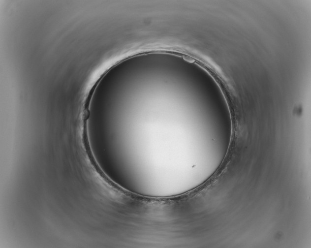 X0000091061512200708131118
