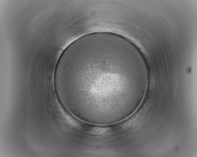 X0000091061513200708131118