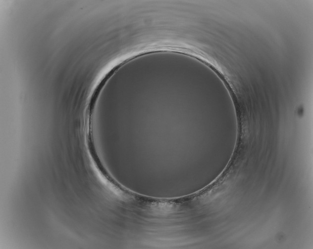 X0000091061515200708131118