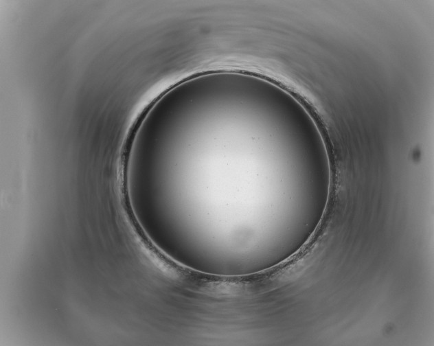 X0000091061517200708131118