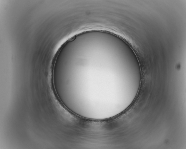 X0000091061518200708131118