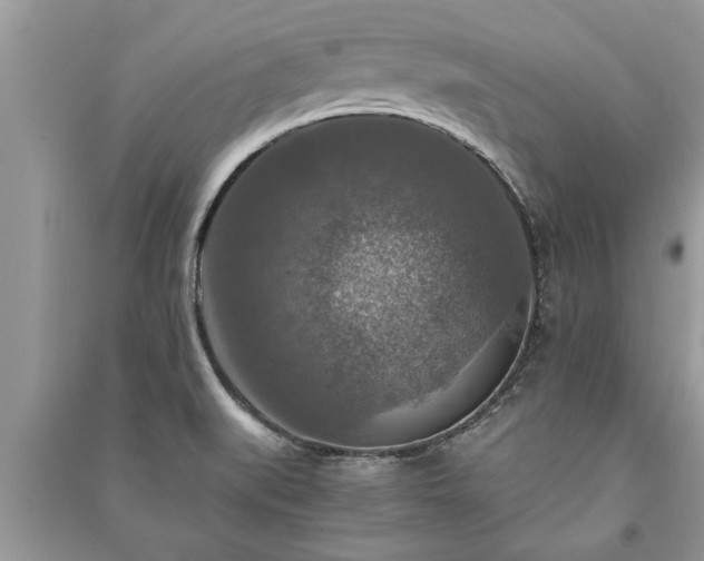 X0000091061519200708131118