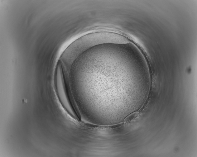X0000091061520200708131118