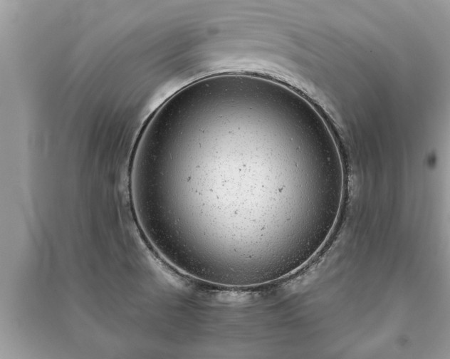 X0000091061521200708131118