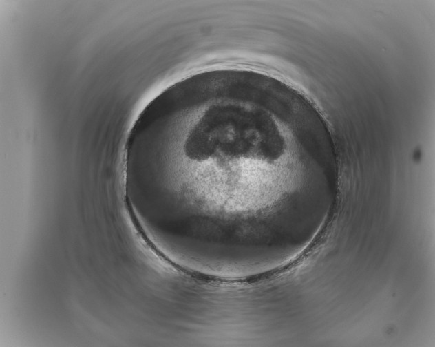 X0000091061522200708131118