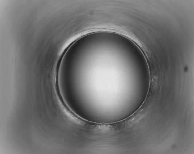X0000091061523200708131118